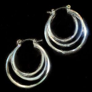 Elegant Silver Hoop Earrings
